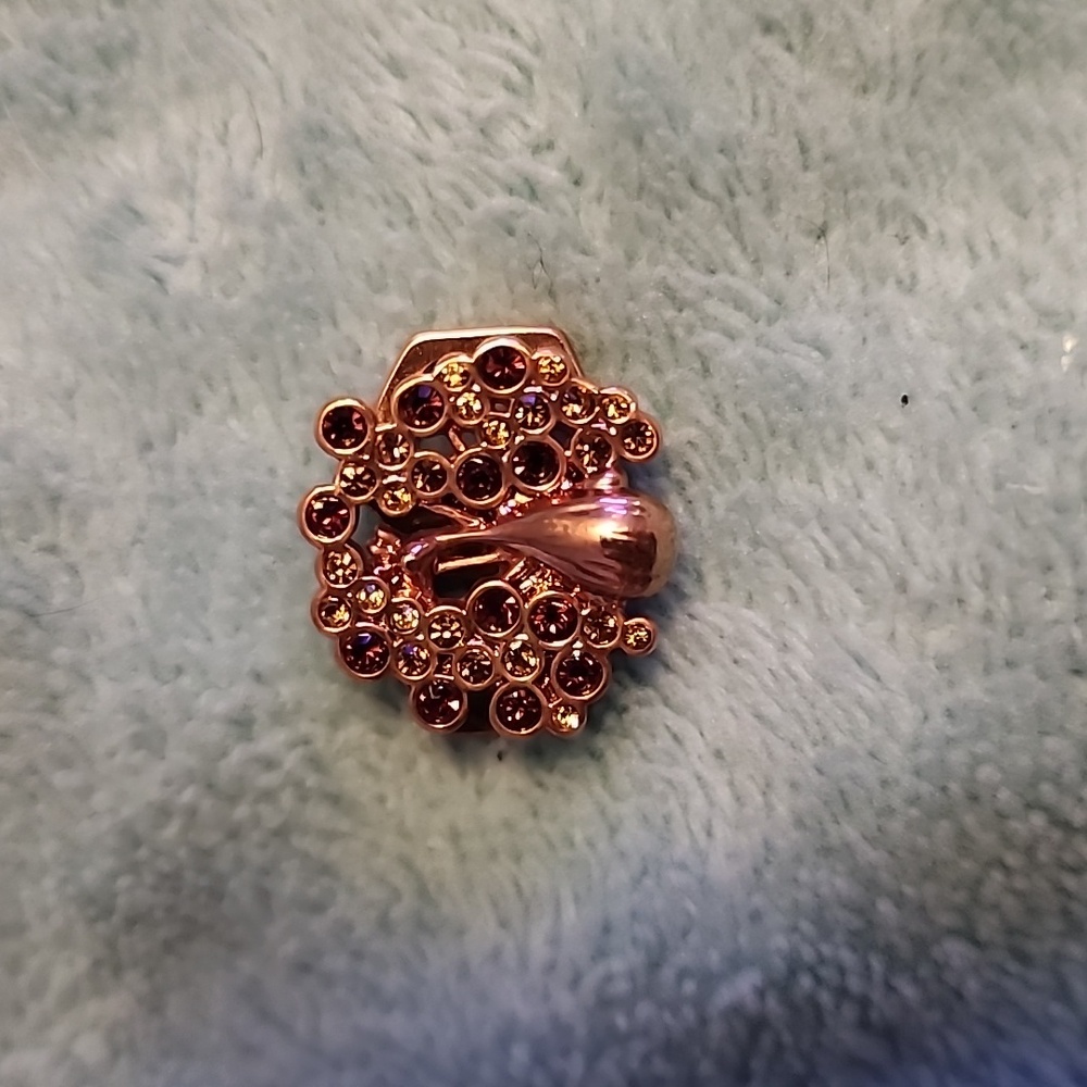 Keep Collective Elegant Gold and Red Turkey Charm